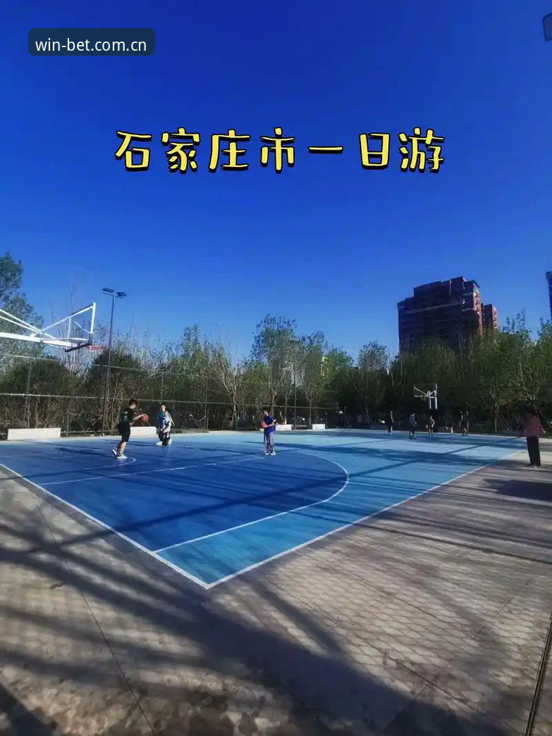 Bet体育实时数据 Bet体育实时数据最新动态:决胜每一刻的智慧体育生态全面升级